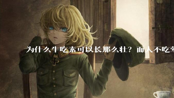 为什么牛吃素可以长那么壮？而人不吃荤就不行？
