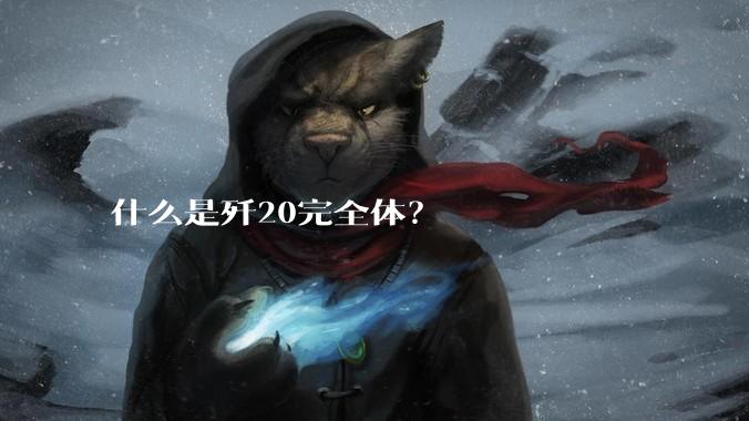 什么是歼20完全体？