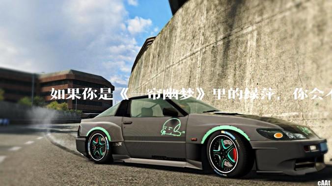 如果你是《一帘幽梦》里的绿萍，你会不会最后原谅紫菱？